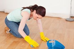 Belsize Park Domestic Cleaning NW6